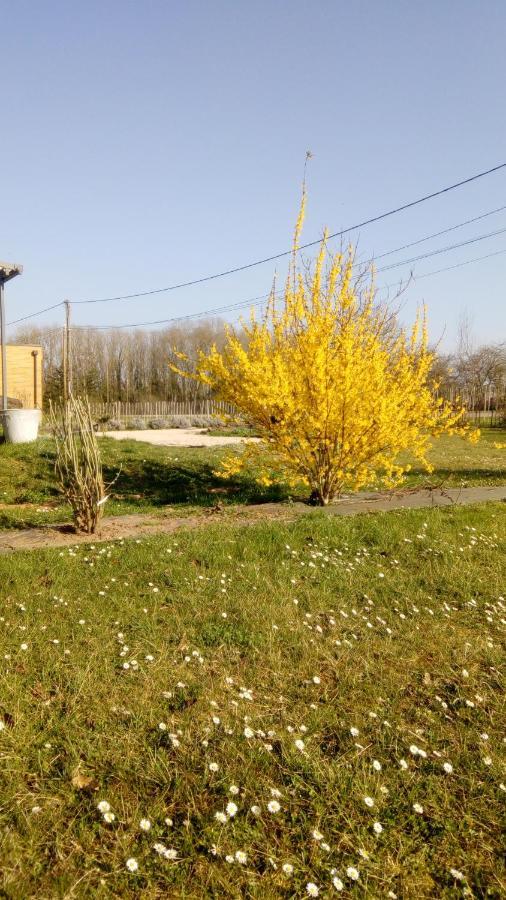 Вилла La Halte Villeret Экстерьер фото